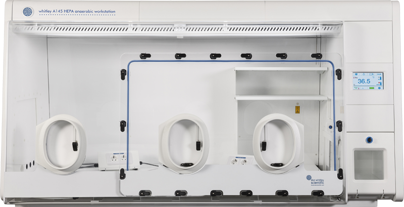 Whitley A145 HEPA Workstation
