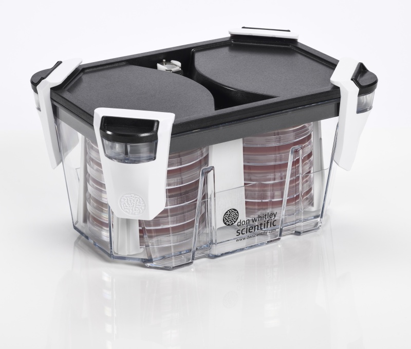 Whitley Incubation Box