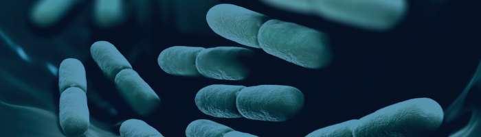 DWS Travel Grant allows students to present microbiome work at conference