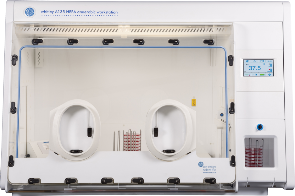 Whitley A135 HEPA Workstation